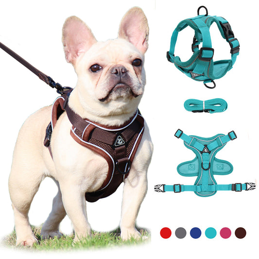 Front Range® Adjustable Dog Harness